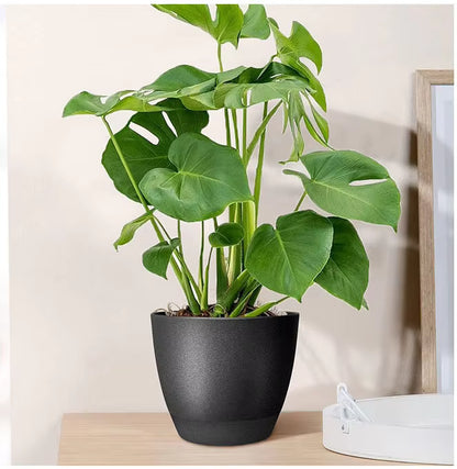 Garden Planters Self Watering Flower Pots – Indoor Plastic Automatic Plant Pot for Succulents & Seedlings