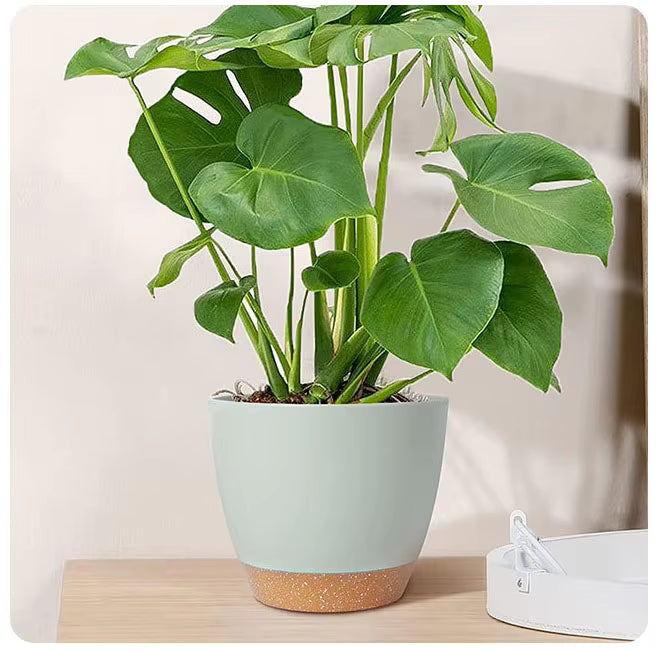 Garden Planters Self Watering Flower Pots – Indoor Plastic Automatic Plant Pot for Succulents & Seedlings